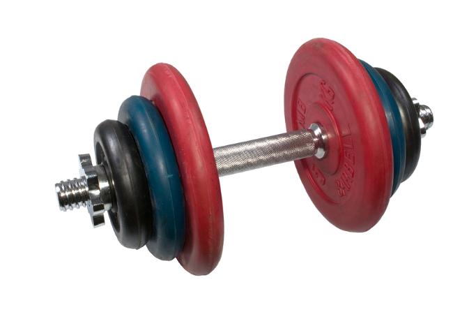 Adjustable Dumbbells. Kenapa yang ini? Kerana anda tidak perlu pelbagai pasang dumbbell dan jika perlu tambah bedan, hanya perlu beli weight plate tambahan. Jimat kos dan ruang gitu. Untuk keselamatan, beli yang bergetah. Kos dari bergantung kepada bilangan plates. yang dari Bowflex agak mahal tapi berkualiti.